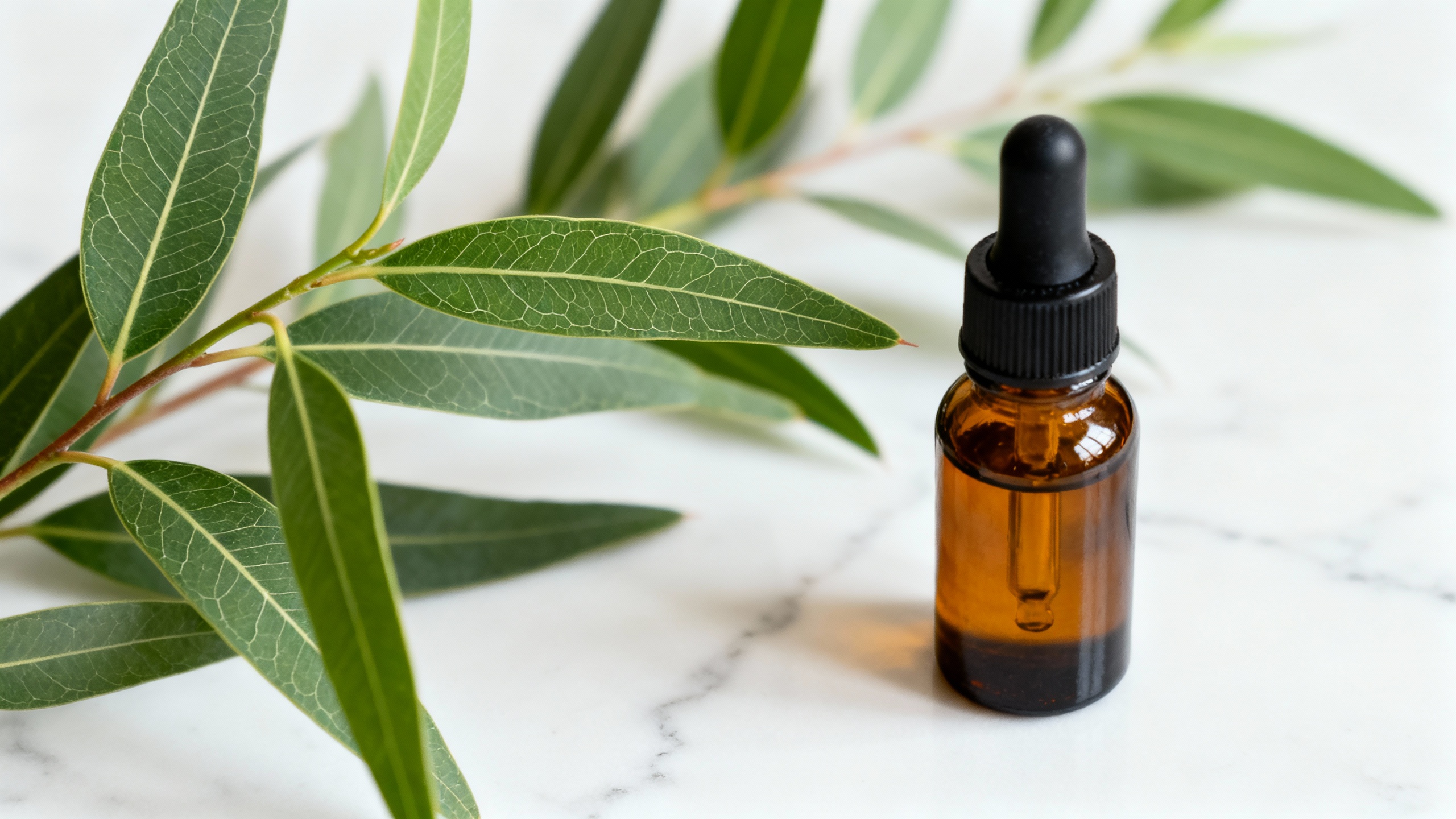 Featured image for How to use tea tree oil for acne?